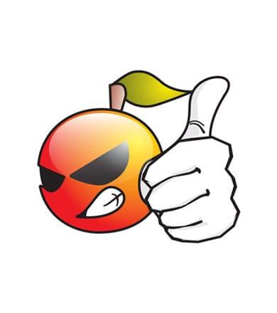 CV Bali Orange Communications logo